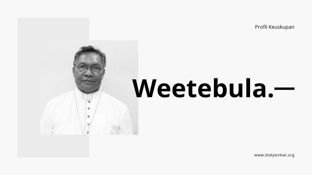 Profil Keuskupan Weetebula