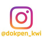 icon folo ig
