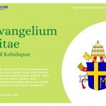 Thumbnail DG (41)